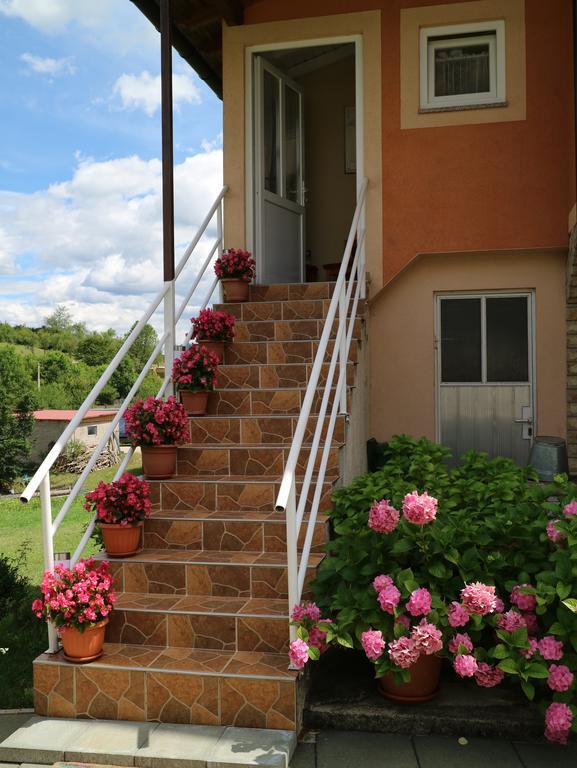 Apartment Luka Kuterevo Bagian luar foto